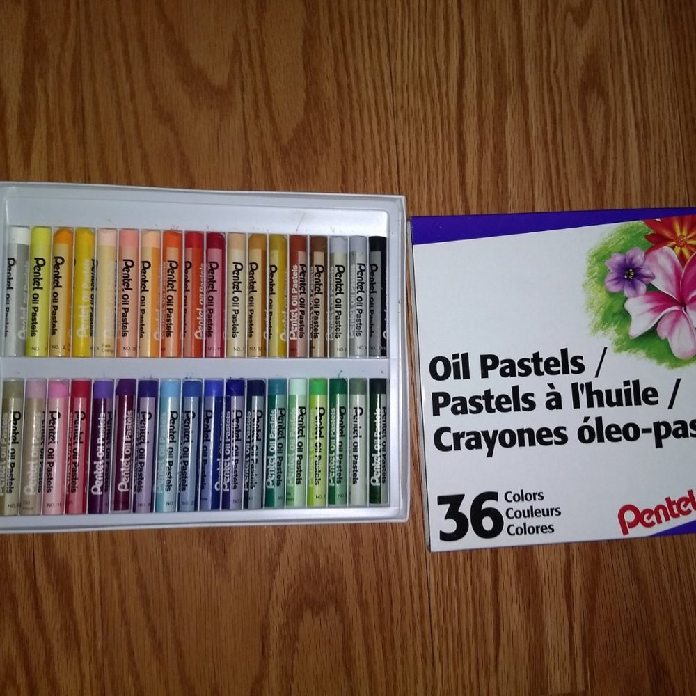 Oil Pastels (slightly used)